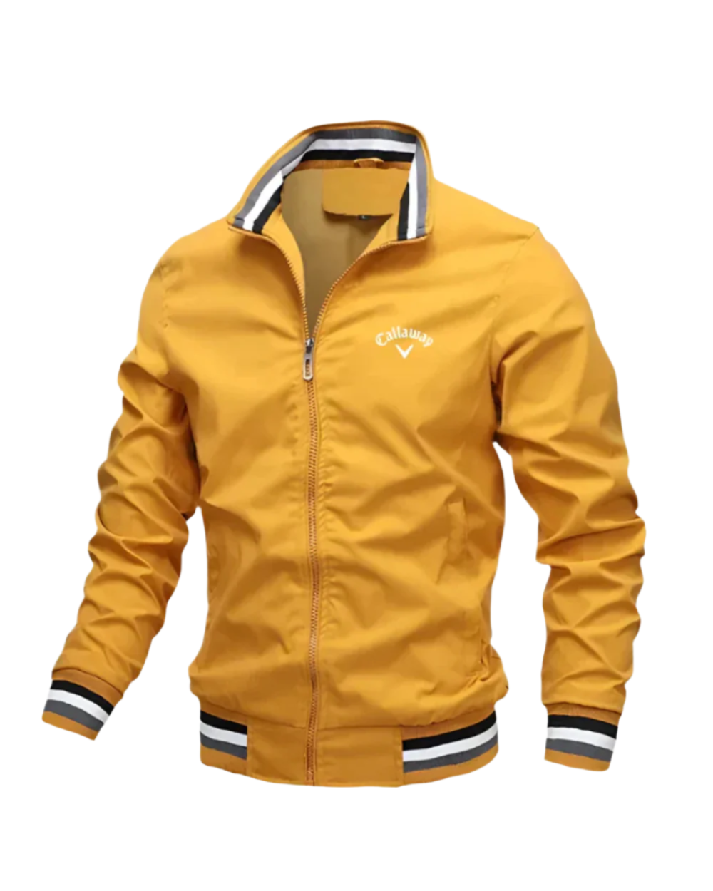 Casual Zip Jacket